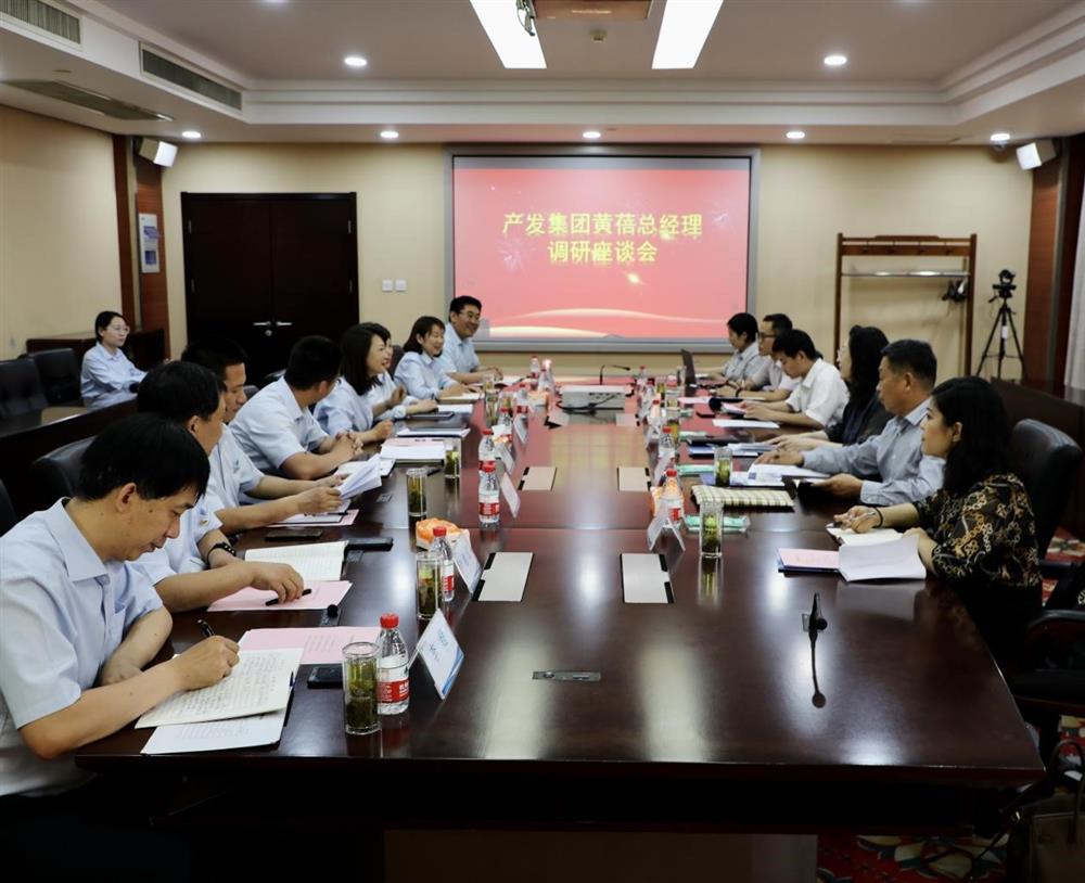 集團黨委副書記、總經(jīng)理黃蓓帶隊調(diào)研濟南市工程咨詢院